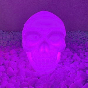 Tête de mort déco led SKULL, lampe décorative le en forme de crane lumineux  de face violet